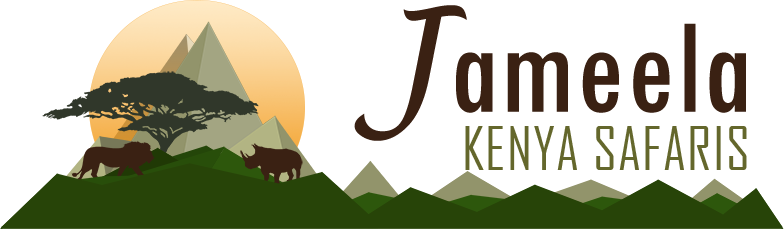 Jameela Kenya Safaris | Adventure Awaits, Go find it!